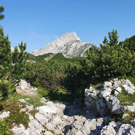Prdelanca Luče