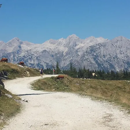 Hébergement de vacances Prdelanca